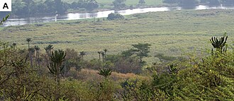 Parque Nacional da Quiçama