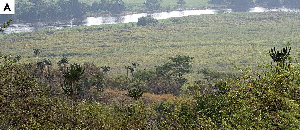 Parque Nacional da Quiçama